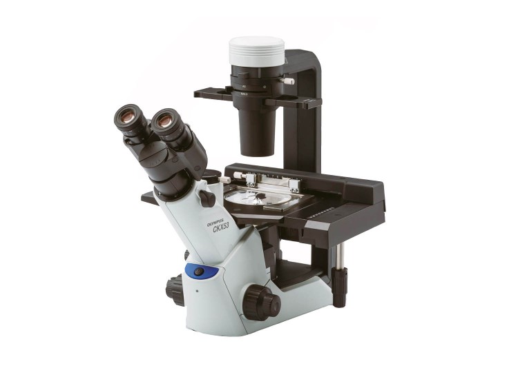 Olympus CKX53 Mikroskop Sistemi